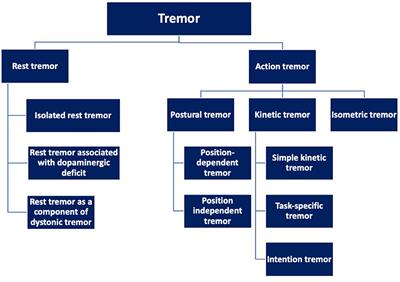 Tremor Syndromes: An Updated Review